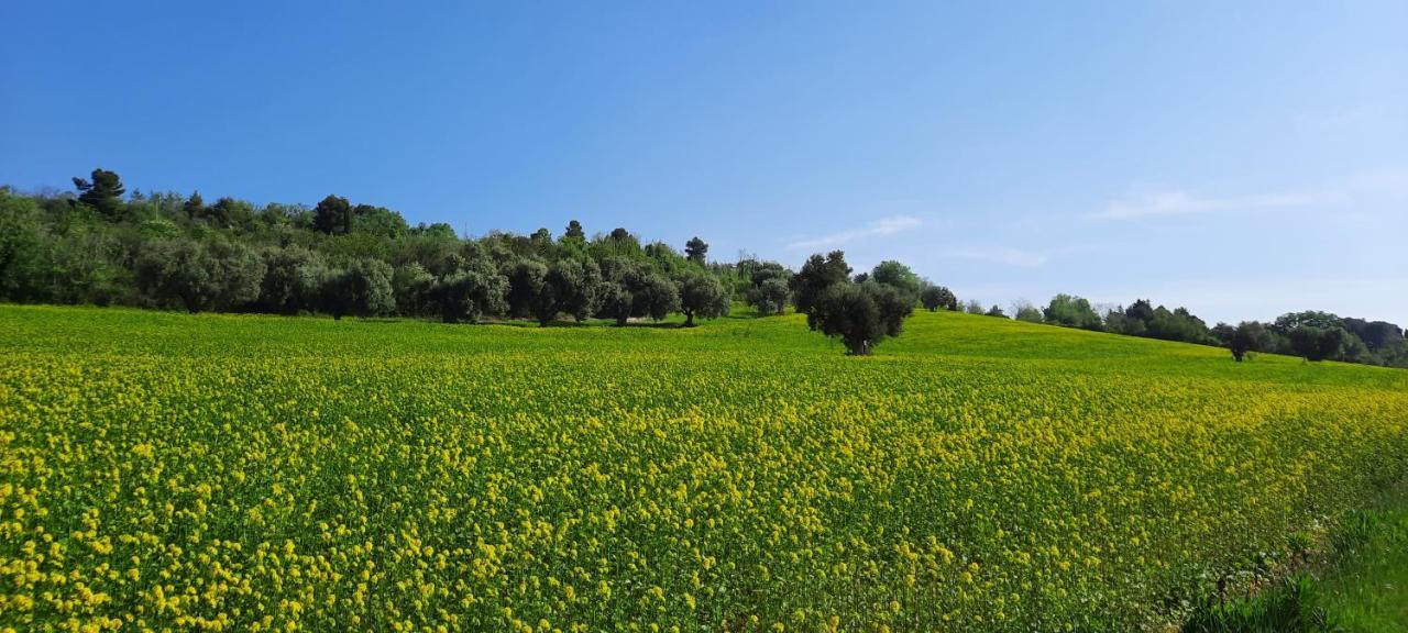 Appartamento In Contesto Esclusivo In Pieno Centro كاميرانو المظهر الخارجي الصورة