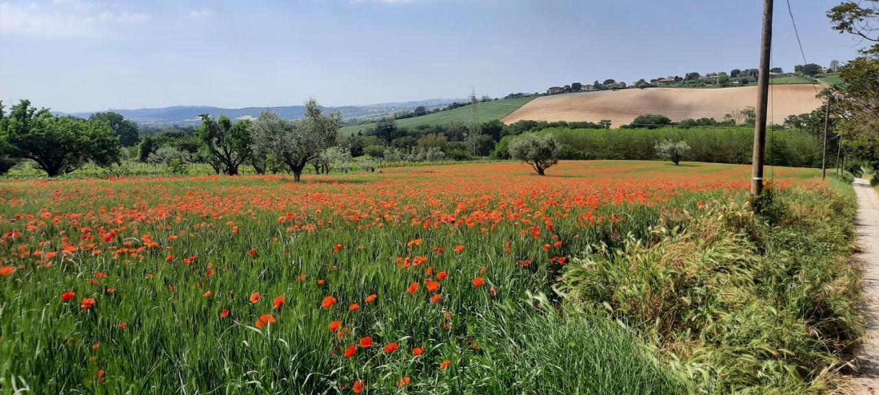 Appartamento In Contesto Esclusivo In Pieno Centro كاميرانو المظهر الخارجي الصورة