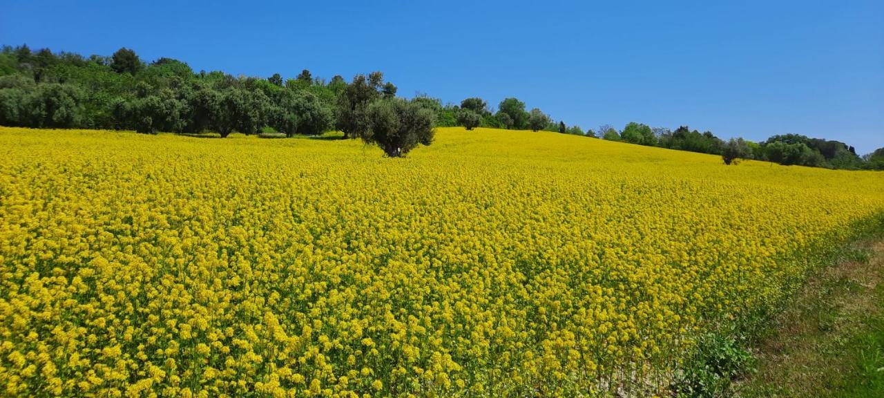 Appartamento In Contesto Esclusivo In Pieno Centro كاميرانو المظهر الخارجي الصورة