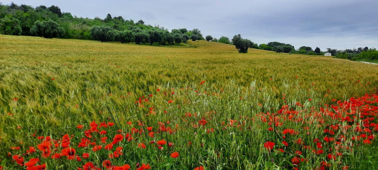 Appartamento In Contesto Esclusivo In Pieno Centro كاميرانو المظهر الخارجي الصورة